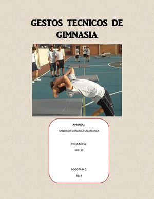 GESTOS TÉCNICOS DE GIMNASIA