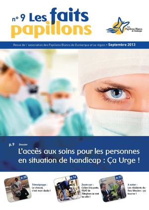 Les faits papillons 9