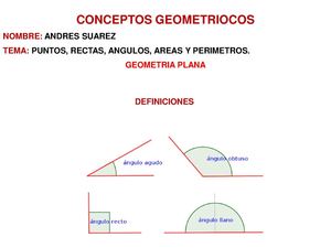 CONCEPTOS GEOMÉTRICOS 