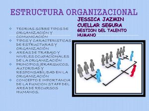 ESTRUCTURA ORGANIZACIONAL