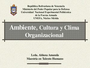 AMBIENTE CULTURA Y CLIMA ORGANIZACIONAL