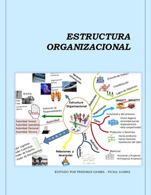 ESTRUCTURA ORGANIZACIONAL