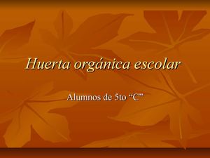 Huerta orgánica escolar 