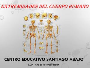 EXTREMIDADES DEL CUERPO HUMANO