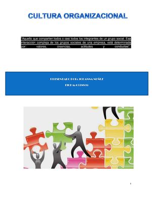 CULTURA ORGANIZACIONAL