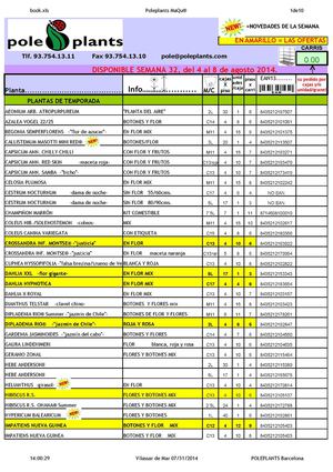 DISPONIBLE SEMANA 32