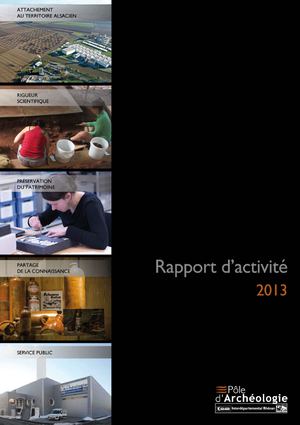 Rapport d'activité 2013
