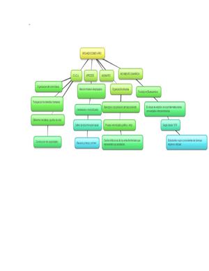 Mapa conceptual de las organizaciones afro