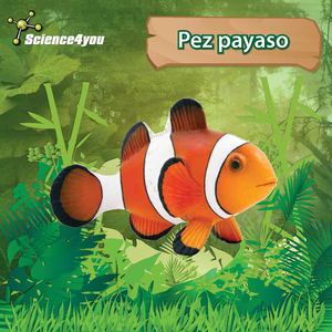 E-Book Pez payaso