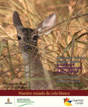 REVISTA GUERRERO NATURAL