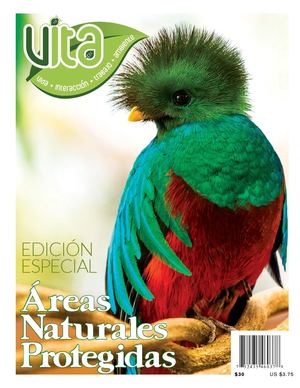 Revista No. 11