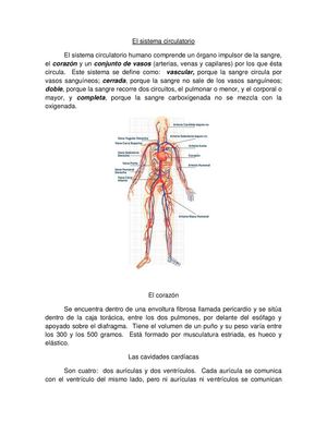 El sistema circulatorio