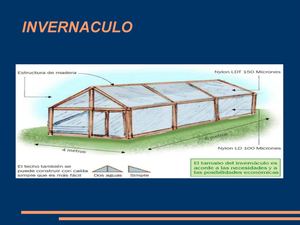 Invernaculo 