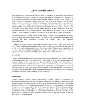 EVOLUCIÓN DEL HOMBRE
