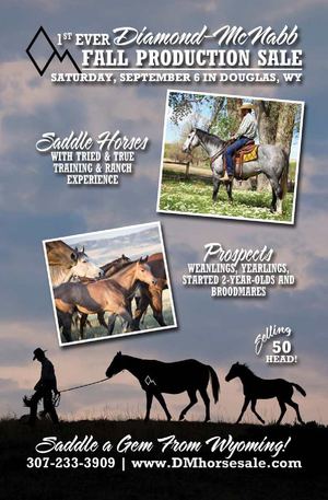 Diamond McNabb Ranch Horse Sale