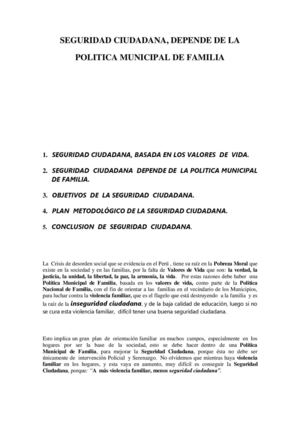 seguridad ciudadana