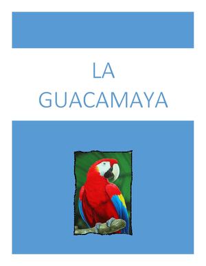 La Guacamaya 