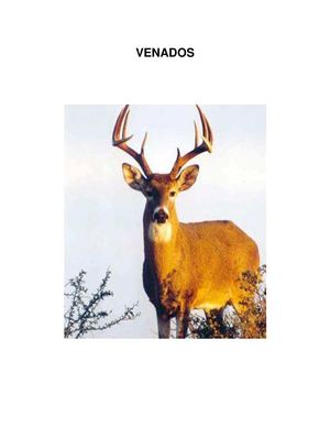 venados