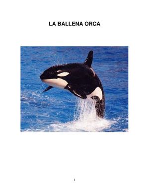 La Ballena Orca