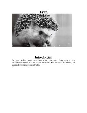 el erizo