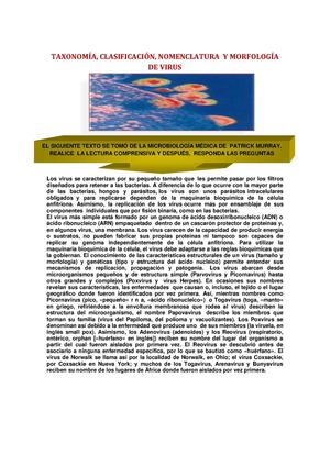TAXONOMÍA, CLASIFICACIÓN, NOMENCLATURA  Y MORFOLOGÍA DE VIRUS