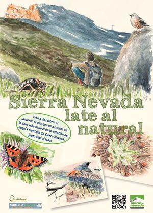 2014 Sierra Nevada late al natural