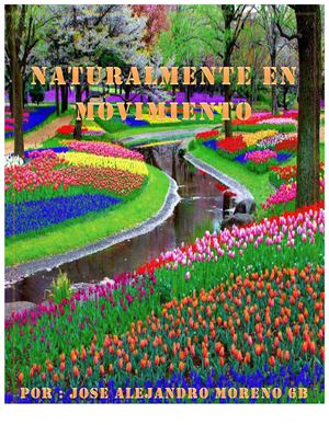 REVISTA AMBIENTAL : NATURALMENTE EN MOVIMIENTO