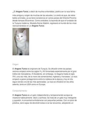 Los Gatos