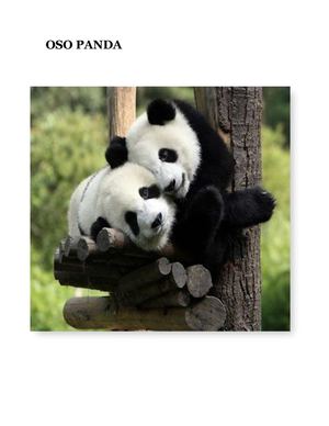 Extinción del oso panda 