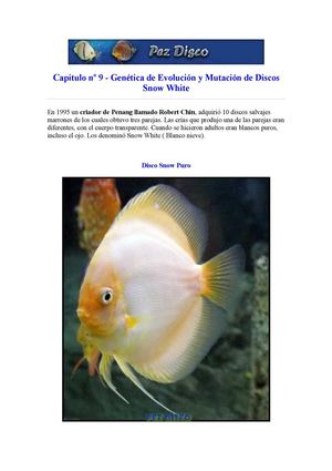 Genetica+-+Capitulo+9