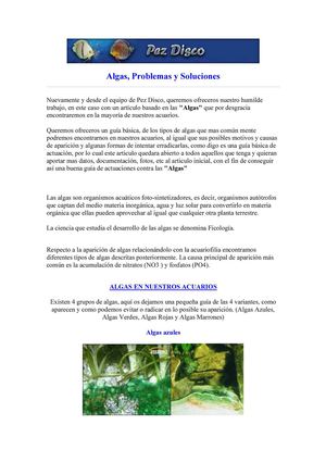 Plantas+y+Decoracion+-+Algas%2C+problemas+y+soluciones