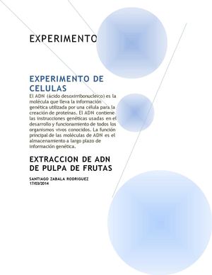 mis experimentos