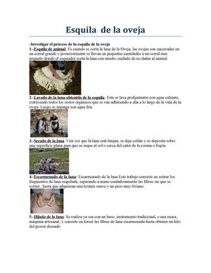 Esquila de la lana