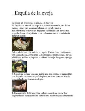 Esquila de la lana 