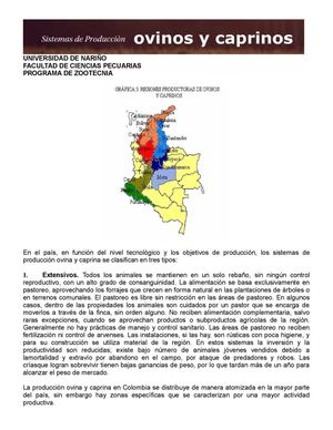 Ovinos y caprinos - Tipos de Produccion