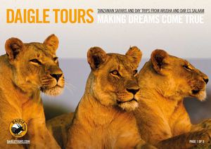 Tanzania Safari Brochure
