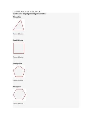 clasificacion de los poliginos