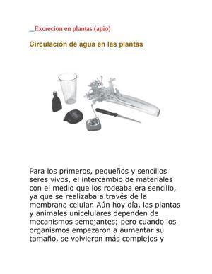 excrecion en plantas