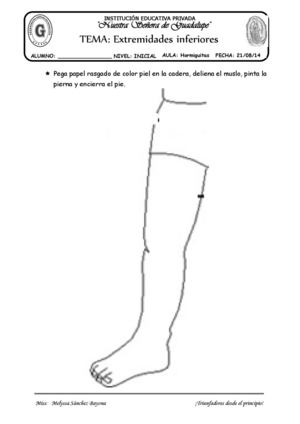 TEMA: EXTREMIDADES INFERIORES