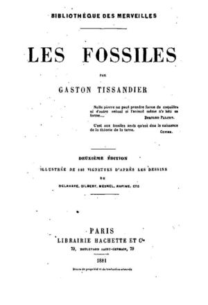 - 116 Les fossiles -