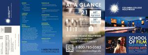 At-A-Glance Brochure