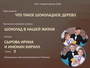 "Шоколад в нашей жизни"