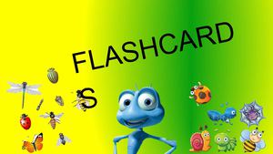 flashcards virtual 