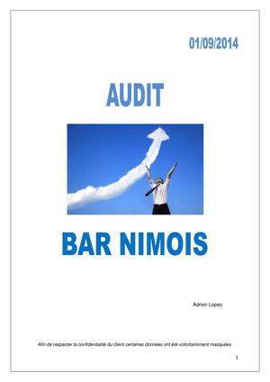 Audit Bar 
