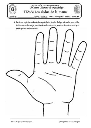 TEMA: LOS DEDOS DE LA MANO