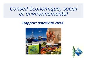 Rapport d'activité 2013 du CESE-NC