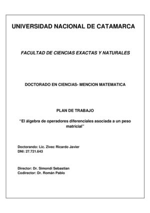 Trabajo de Investigacion: El Algebra de Operadores diferenciales asociados a un Peso Matricial