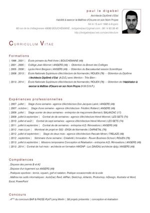 PAUL LE DIGABEL_curriculum vitae