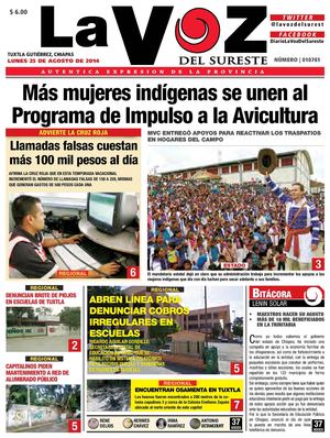 Diario La Voz del Sureste