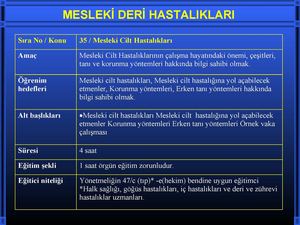 30294741-35-mesleki-cilt